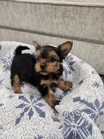 processed/2eee281c-38ae-41f2-863a-49b95f9ac7da/listing/33904438-bab1-4c67-bdb4-ebb8f44e0894/3a3c615f-a537-4403-921f-42aaad917405