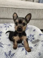 processed/2eee281c-38ae-41f2-863a-49b95f9ac7da/listing/452374d3-a140-46aa-861a-8963ad37652f/05cceb74-582c-4022-8ec1-c600ae47ef22