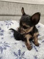 processed/2eee281c-38ae-41f2-863a-49b95f9ac7da/listing/452374d3-a140-46aa-861a-8963ad37652f/99fd01cb-3925-4f9a-b250-0126b38f90d6