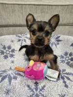 processed/2eee281c-38ae-41f2-863a-49b95f9ac7da/listing/452374d3-a140-46aa-861a-8963ad37652f/f72e5404-4c01-4643-ab3b-cce16cee1043