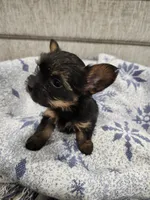 processed/2eee281c-38ae-41f2-863a-49b95f9ac7da/listing/64220709-f6c4-4a32-9c84-7ae73812c4f7/0cb306f5-d2c3-4b99-9ebb-7f474713807c