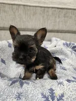 processed/2eee281c-38ae-41f2-863a-49b95f9ac7da/listing/64220709-f6c4-4a32-9c84-7ae73812c4f7/8b0a0469-0a92-43aa-8ff9-3b15433b3825