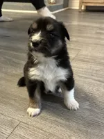 processed/2eee281c-38ae-41f2-863a-49b95f9ac7da/listing/79b4de06-f813-4804-b7f4-952ff848a2d9/3482e534-41b4-4bd1-8770-c50ebc9d5c03