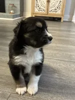 processed/2eee281c-38ae-41f2-863a-49b95f9ac7da/listing/79b4de06-f813-4804-b7f4-952ff848a2d9/c15bc04f-4c80-4675-be97-abca9bc698b0