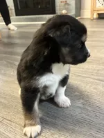 processed/2eee281c-38ae-41f2-863a-49b95f9ac7da/listing/79b4de06-f813-4804-b7f4-952ff848a2d9/f4a5c8cd-ccc6-4064-9b66-3ea27202399e