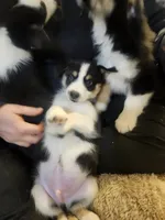 processed/2eee281c-38ae-41f2-863a-49b95f9ac7da/listing/c5bc221f-57ee-4c33-ba50-0155c4dd20a3/49d95cb9-c9c1-4c5c-b9e1-4b0488c3c1b1