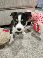 processed/2eee281c-38ae-41f2-863a-49b95f9ac7da/listing/c5bc221f-57ee-4c33-ba50-0155c4dd20a3/ab1690db-cc43-426d-8d86-7d49b8d799ac