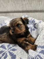 processed/2eee281c-38ae-41f2-863a-49b95f9ac7da/listing/c724cbc0-7a39-47b1-b91b-6b573c9dc3b2/5825909f-35ba-4dcf-b7bc-c53c9d80563b