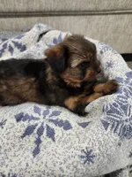 processed/2eee281c-38ae-41f2-863a-49b95f9ac7da/listing/c724cbc0-7a39-47b1-b91b-6b573c9dc3b2/62050736-91a4-4a68-93d4-9bd89f1800f8