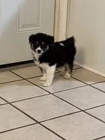 processed/2eee281c-38ae-41f2-863a-49b95f9ac7da/listing/c7baf12e-1093-418c-811a-5f5e8706021e/018c53c4-9cc5-4ccb-9a99-3bffb1cdd478