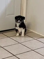 processed/2eee281c-38ae-41f2-863a-49b95f9ac7da/listing/c7baf12e-1093-418c-811a-5f5e8706021e/73b70cdf-4679-4ffc-9bbe-2fea701be541