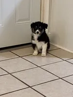 processed/2eee281c-38ae-41f2-863a-49b95f9ac7da/listing/c7baf12e-1093-418c-811a-5f5e8706021e/82735edb-a76c-40b3-81ed-4260943be343