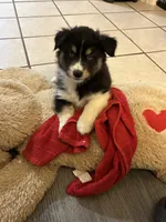 processed/2eee281c-38ae-41f2-863a-49b95f9ac7da/listing/c7baf12e-1093-418c-811a-5f5e8706021e/cdf1a39f-de61-46b8-acf4-717ce43b9e8b