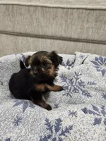 processed/2eee281c-38ae-41f2-863a-49b95f9ac7da/listing/d0805616-36c1-479c-b7ed-10fa66c6a337/232ed099-7b15-4d46-916d-fb8e7a15081f