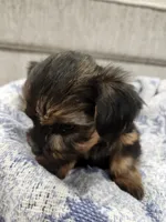 processed/2eee281c-38ae-41f2-863a-49b95f9ac7da/listing/d0805616-36c1-479c-b7ed-10fa66c6a337/301dc834-f8b9-4d76-9c00-a604951280b4