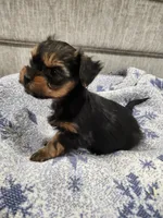 processed/2eee281c-38ae-41f2-863a-49b95f9ac7da/listing/e092e6c2-a470-4061-b393-e238ab920468/34c934af-186c-4724-a66a-dad142041ffd