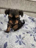 processed/2eee281c-38ae-41f2-863a-49b95f9ac7da/listing/e092e6c2-a470-4061-b393-e238ab920468/8243d164-7d1d-4800-93c8-592826ed4140