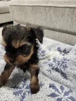 processed/2eee281c-38ae-41f2-863a-49b95f9ac7da/listing/e092e6c2-a470-4061-b393-e238ab920468/b6b1eca3-45a6-4e5a-b645-97e09ed28da8