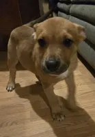 processed/2ef77a73-00e2-4362-bdf5-e90e59b1bd46/listing/73d28d94-b587-473f-85f4-0c7183116dde/54aa6030-c57d-4240-aa31-3d2c068c6eb4