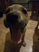 processed/2ef77a73-00e2-4362-bdf5-e90e59b1bd46/listing/73d28d94-b587-473f-85f4-0c7183116dde/61b5a183-34c1-4af8-9fa1-6cd71de1b679