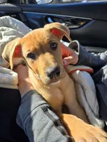 processed/2ef77a73-00e2-4362-bdf5-e90e59b1bd46/listing/b574d932-7ae7-4546-a6ba-d20e5893cf3f/3ed1c085-76b7-48b7-8391-f91576ae85f8