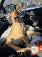 processed/2ef77a73-00e2-4362-bdf5-e90e59b1bd46/listing/b574d932-7ae7-4546-a6ba-d20e5893cf3f/d2ea8f68-7185-4828-b0f7-e10623cd1dc1