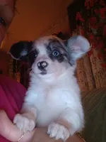 processed/2ef8f129-5ddd-4bc2-86d4-1fe748a31205/listing/4f2a5928-ad14-4580-b044-24d6d1d60796/b2410a3c-21c0-41e0-979f-853685377f37