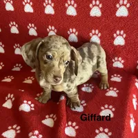 processed/2efc681c-c313-430e-9793-b0d029c9d674/listing/08904b94-8d6e-4c8e-a238-beeffe1be1b6/1c2b6cb4-1869-4486-b547-caa507d5c1c6