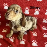 processed/2efc681c-c313-430e-9793-b0d029c9d674/listing/08904b94-8d6e-4c8e-a238-beeffe1be1b6/480f2b7d-9279-4dc3-80e7-93e37f79f601