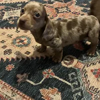 processed/2efc681c-c313-430e-9793-b0d029c9d674/listing/08904b94-8d6e-4c8e-a238-beeffe1be1b6/7a0c44ba-5641-463a-9d8e-9ee475f47998