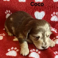 processed/2efc681c-c313-430e-9793-b0d029c9d674/listing/26003f53-3c73-4b84-be30-a83d0654b633/05cb4415-4677-4e9b-858b-d900602b049e