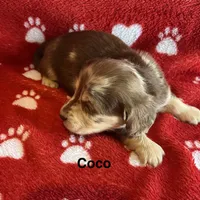 processed/2efc681c-c313-430e-9793-b0d029c9d674/listing/26003f53-3c73-4b84-be30-a83d0654b633/3551ce0e-66a1-442f-b9d2-66cc9319af0a