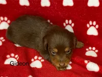 processed/2efc681c-c313-430e-9793-b0d029c9d674/listing/37160a5b-b8c4-48d9-8930-d98e312593f5/1fc3af42-d088-4eb7-8654-c8b4090f5e14