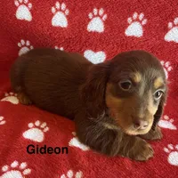 processed/2efc681c-c313-430e-9793-b0d029c9d674/listing/37160a5b-b8c4-48d9-8930-d98e312593f5/987bec21-b4ec-474b-b47a-8d768e98692d