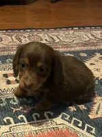 processed/2efc681c-c313-430e-9793-b0d029c9d674/listing/37160a5b-b8c4-48d9-8930-d98e312593f5/e165e08a-7479-402c-be24-830c1c4c8417