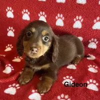 processed/2efc681c-c313-430e-9793-b0d029c9d674/listing/37160a5b-b8c4-48d9-8930-d98e312593f5/f889d50d-2ede-4e50-9718-922a37f8d405