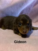 processed/2efc681c-c313-430e-9793-b0d029c9d674/listing/37160a5b-b8c4-48d9-8930-d98e312593f5/fb72dbcd-46c5-4007-862d-c4de08880917