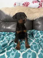 processed/2f0137ba-3145-4595-9dd1-9557ae9b7f53/facility/c07fc940-aec7-4ec6-999b-f5f8aa78c3e5