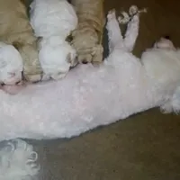 processed/2f0188ec-2847-4539-95f6-3c01159426b7/facility/a50941ad-2e01-4e7a-97c4-9761e6f50a72