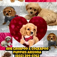 processed/2f0188ec-2847-4539-95f6-3c01159426b7/facility/cb222473-d64a-4e17-923a-f3cbf705150c