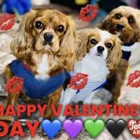 processed/2f0188ec-2847-4539-95f6-3c01159426b7/facility/cda36419-98e7-45bd-a294-dbd8c8f607dc