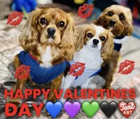 processed/2f0188ec-2847-4539-95f6-3c01159426b7/facility/cda36419-98e7-45bd-a294-dbd8c8f607dc