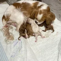 processed/2f0188ec-2847-4539-95f6-3c01159426b7/facility/d873c9be-2675-4dd8-9f9a-8790e5a77d83