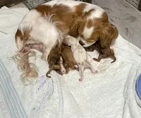 processed/2f0188ec-2847-4539-95f6-3c01159426b7/facility/d873c9be-2675-4dd8-9f9a-8790e5a77d83