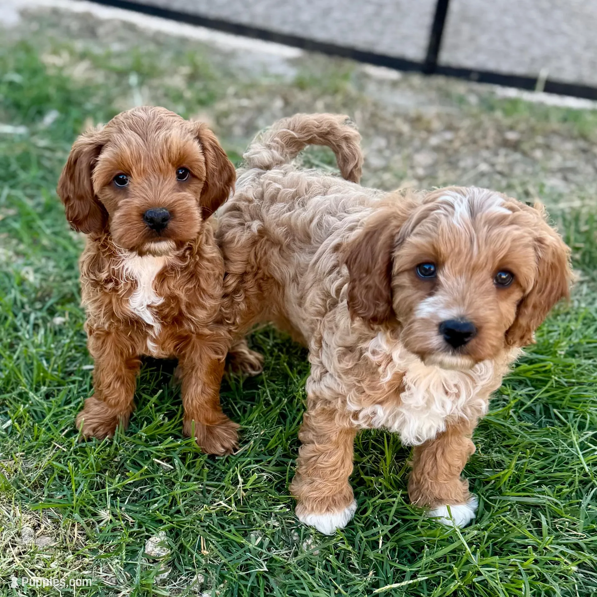 processed/2f0188ec-2847-4539-95f6-3c01159426b7/facility/db4522d0-f056-4134-b749-919f853a0576