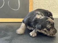 processed/2f021e86-2d30-4b20-a3a8-f524f08915f0/listing/32c78659-bfe4-4e91-b63e-b885d2dce7d8/4c0059a2-50ad-473c-a4a1-581dd5c10912