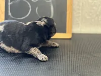 processed/2f021e86-2d30-4b20-a3a8-f524f08915f0/listing/32c78659-bfe4-4e91-b63e-b885d2dce7d8/a10b6e73-16a2-4edc-8501-4ce243ffbcce