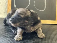 processed/2f021e86-2d30-4b20-a3a8-f524f08915f0/listing/32c78659-bfe4-4e91-b63e-b885d2dce7d8/bacf0f76-e158-4210-8cc0-91398eaeae4f