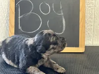 processed/2f021e86-2d30-4b20-a3a8-f524f08915f0/listing/32c78659-bfe4-4e91-b63e-b885d2dce7d8/c21c5d20-e1a2-4f8a-b334-f3027e66d308