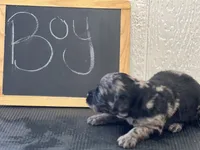 processed/2f021e86-2d30-4b20-a3a8-f524f08915f0/listing/32c78659-bfe4-4e91-b63e-b885d2dce7d8/c661914e-dcd1-436f-b0db-80d8c7ccb35d